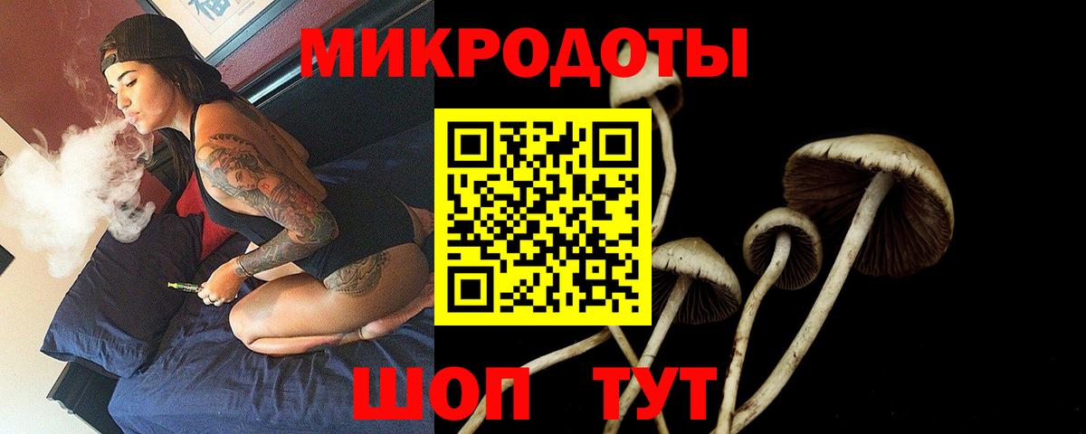 Углич  Псилоцибиновые грибы Psilocybine cubensis  Вход с VPN 